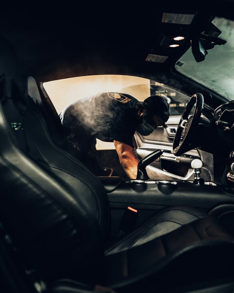Dog sitting in the front seat of a car